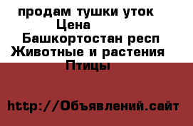 продам тушки уток  › Цена ­ 300 - Башкортостан респ. Животные и растения » Птицы   